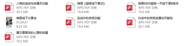 瑞恩线下分享会