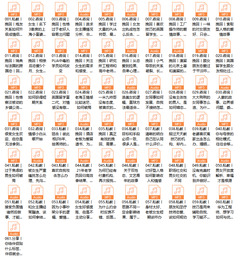 大迎认知圈《私教课程》+私教咨询语音合集(无水印)