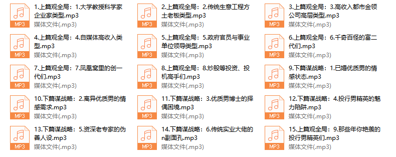 成功男人的A.B面15节