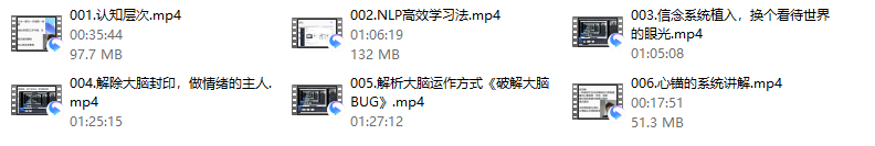 魅男《nlp大脑升维》