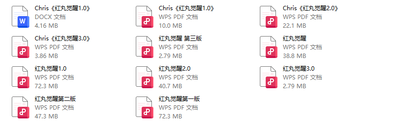 红丸觉醒1.0-3.0电子版