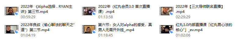 红丸会员3.0plus