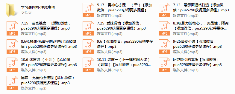 2017年《迷宫导师私教》