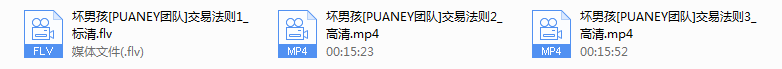 puaney交易法则(高清)