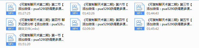 PUANEY可复制聊天课