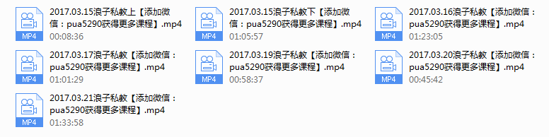 2017年浪子私教