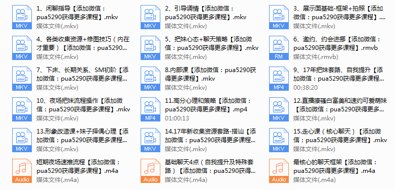 2017年《吴克群私教视频课》
