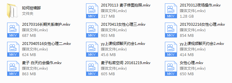 2017年麦子私教（新版）