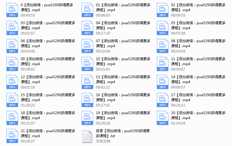 2017年《恋爱小贴士》线下视频课程