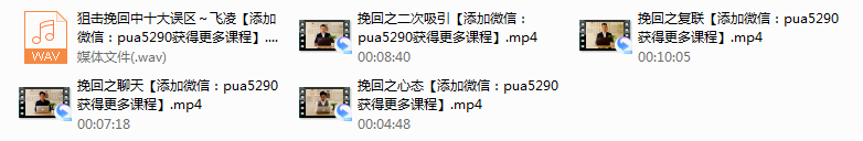 2017年飞凌团队《挽回狙击长期》