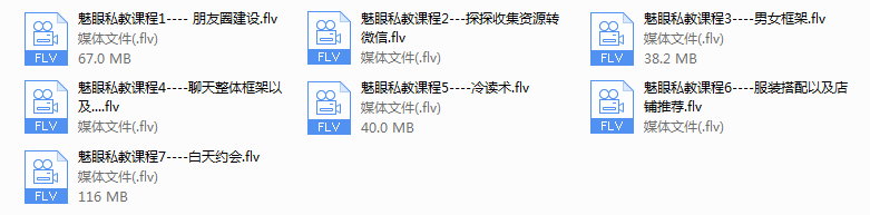 魅眼私教课程(完结)