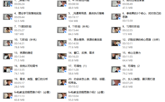 林老头《lin一对一咨询（1年）》