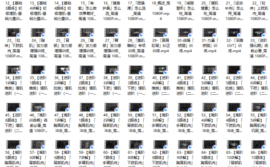 埃里克：打造完美身材，健身房增肌减脂全方案 完结版本