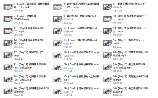 28天增肌减脂，居家打造黄金比例身材